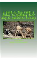 Bark In The Park-A Guide For Walking Your Dog In Delaware County