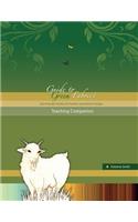 Guide to Green Fabrics Teaching Companion
