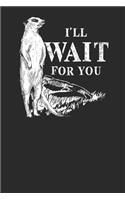 I'll Wait For You