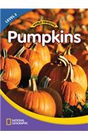 World Windows 2 (Science): Pumpkins
