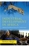 Industrial Development in Africa