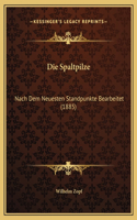 Die Spaltpilze: Nach Dem Neuesten Standpunkte Bearbeitet (1885)
