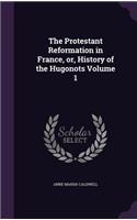 The Protestant Reformation in France, or, History of the Hugonots Volume 1