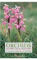 Orchids of Britain and Ireland