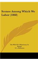 Scenes Among Which We Labor (1868)