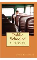 Public Schooled, a Novel