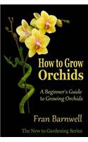 How to Grow Orchids: A Beginner's Guide to Growing Orchids