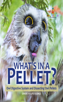What's in a Pellet? Owl Digestive System and Dissecting Owl Pellets Grade 6-8 Life Science