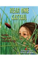 Near One Cattail