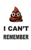 Shit I Can't Remember