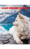 Unique Carnivore Notebook: A large Composition and Exercise book for teachers, coaches and students.