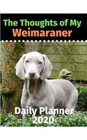The Thoughts of My Weimaraner