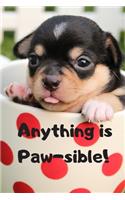 Anything Is Paw-Sible!