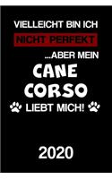 Cane Corso 2020: Kalender Lustiger Hunde Spruch Terminplaner Frauchen Herrchen Terminkalender Wochenplaner, Monatsplaner & Jahresplaner für Hundefrauchen & Hundebesi