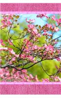 Pink Dogwood Blossoms Journal