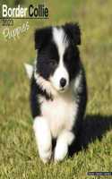 Border Collie Puppies 2023 Wall Calendar
