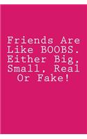 Friends Are Like BOOBS. Either Big, Small, Real Or Fake!