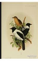 Vintage Bird Print Journal: Yap Monarch, 6" x 9" Vintage Bird Decor Print Journal - [Lined Journal]