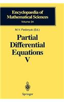 Partial Differential Equations V
