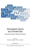 Atmospheric Ozone as a Climate Gas