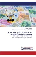 Efficiency Estimation of Production Functions
