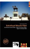 Extrafusal Muscle Fiber