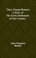 Three Young Pioneers A Story of the Early Settlement of Our Country