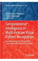 Computational Intelligence in Multi-Feature Visual Pattern Recognition