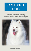Samoyed dog