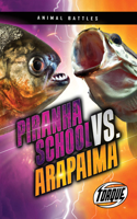 Mandrill vs. Chimpanzee