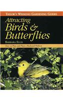 Attracting Birds and Butterflies