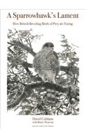 A Sparrowhawk's Lament