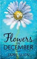 Flowers in December