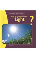 What Do You Know about Light?: (20 Questions: Physical Science)