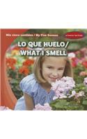 Lo Que Huelo / What I Smell