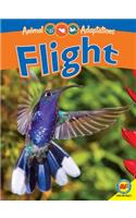 Flight