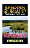Jaw-Dropping Geography: Fun Learning Facts about Wondrous Wetlands: Illustrated Fun Learning for Kids: (English)