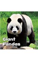Giant Pandas: (Black and White Animals)