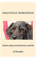 Stories about Animals from Real Life