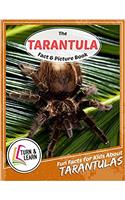 The Tarantula Fact and Picture Book: Fun Facts for Kids About Tarantulas (Turn and Learn)