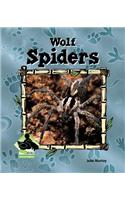 Wolf Spiders