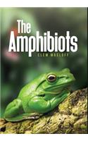 The Amphibiots