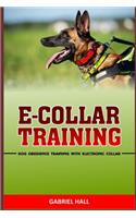 E-Collar Training