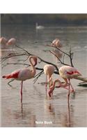 Note Book: Flamingo Flock, Writing Book, Wide Ruled, 200 Paged 7.44 X 9.69