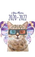 3 Year Planner 2020-2022