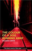 The Colour of a Dog Running Away