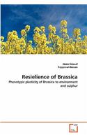 Resielience of Brassica