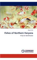 Fishes of Northern Haryana
