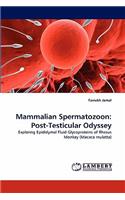 Mammalian Spermatozoon