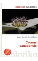 Cornus Canadensis